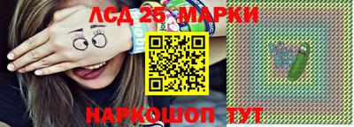Альфа ПВП Ярославль