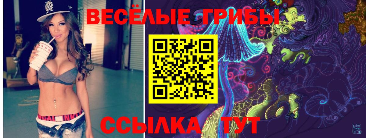 Галлюциногенные грибы GOLDEN TEACHER  Псилоцибиновые грибы прущие грибы  Вход с VPN  Верхняя Пышма 